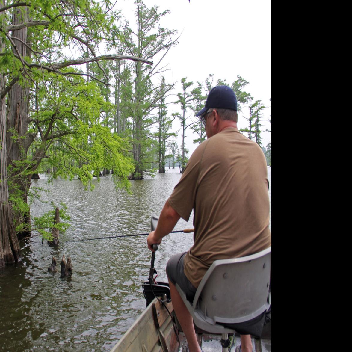 Horseshoe Lake Makes Fishing Comeback Thesouthern Com