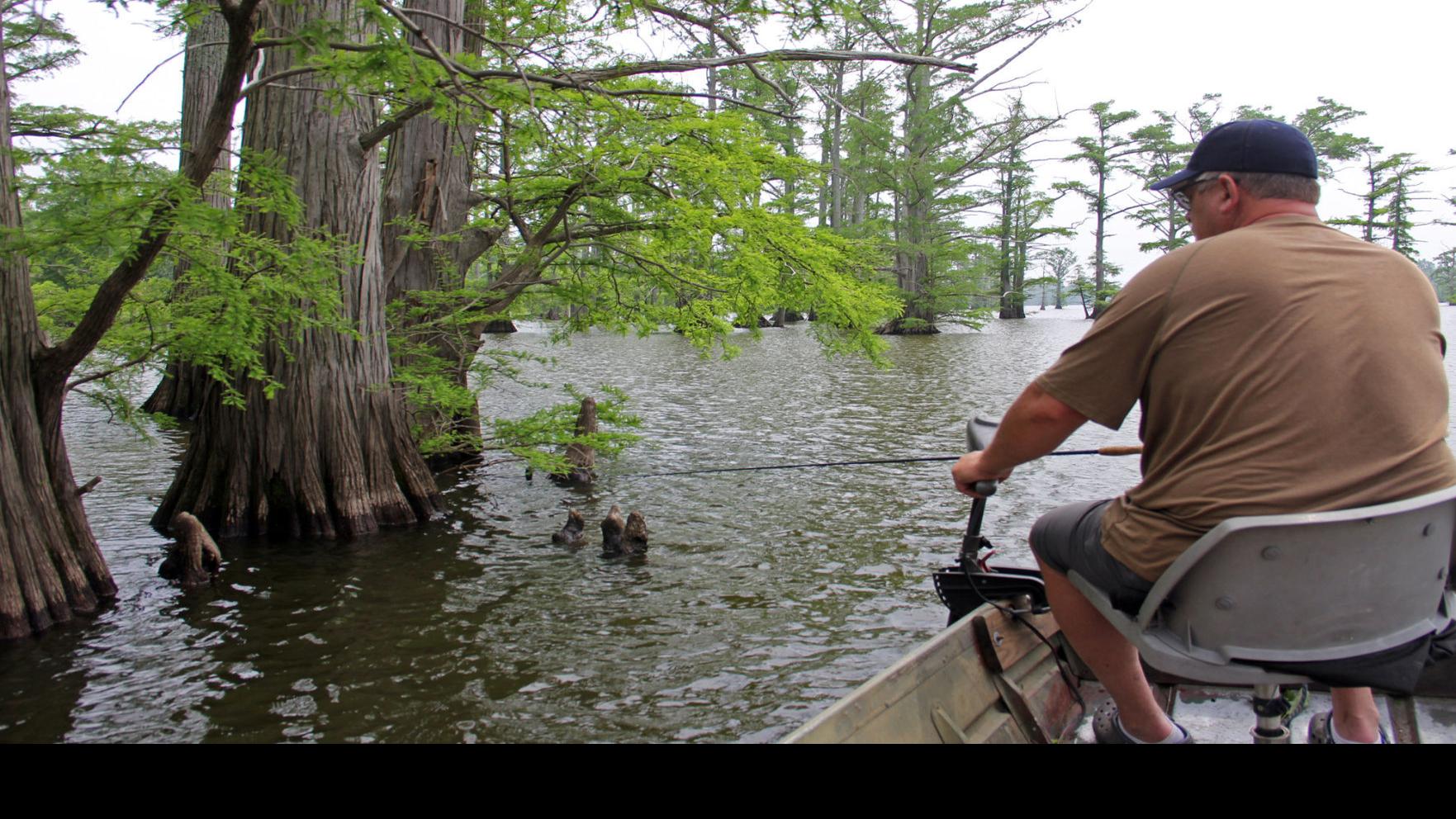 Horseshoe Lake Makes Fishing Comeback Thesouthern Com
