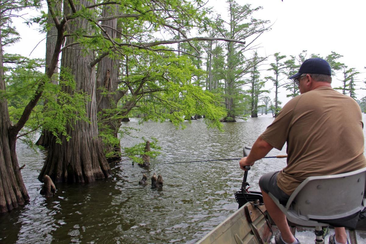 Horseshoe Lake makes fishing comeback