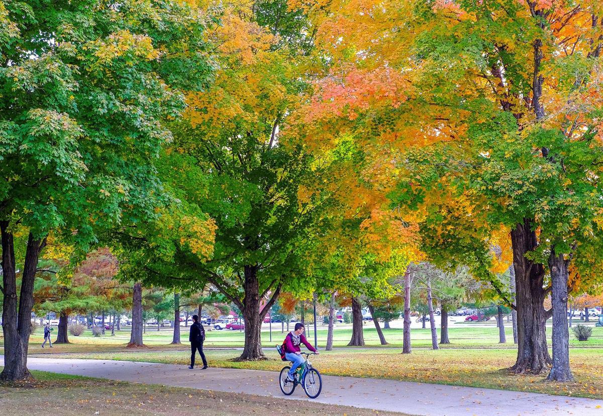 Campus color