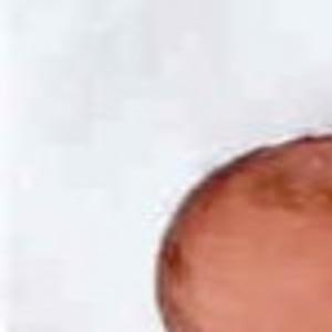 Jacob Treece Obituaries Thesouthern Com
