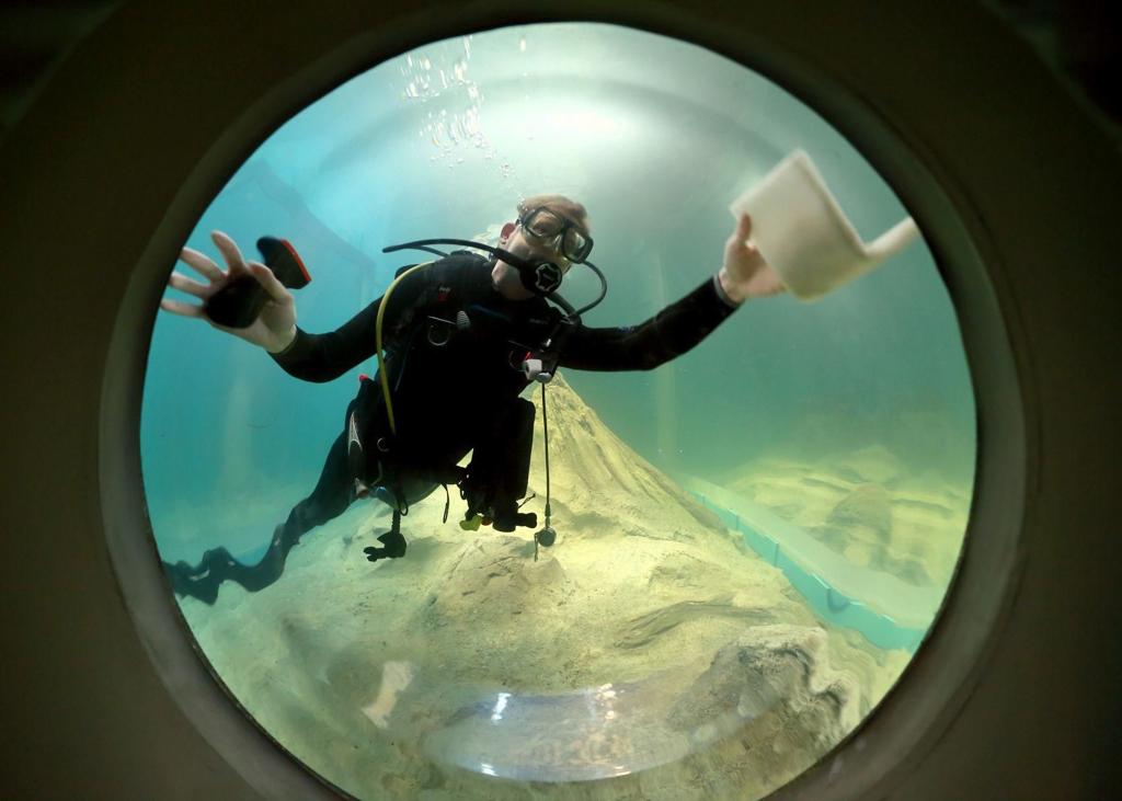 Under The Sea The New St Louis Aquarium Is Making A Splash Life Style Magazine Thesouthern Com