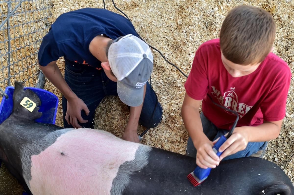 Du Quoin State Fair