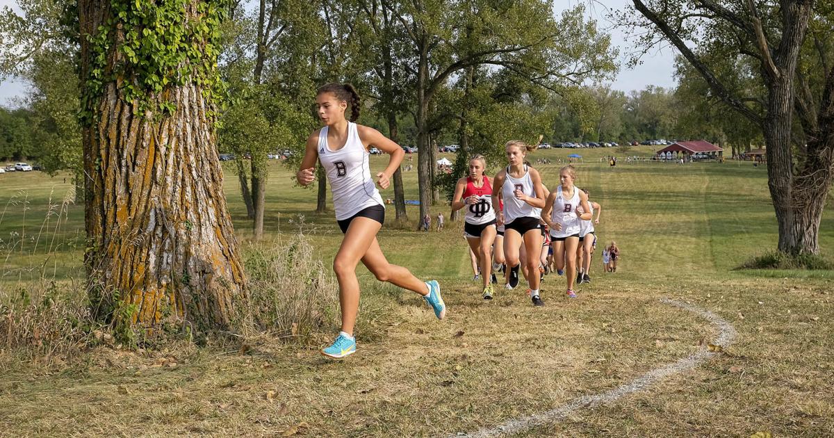 Ihsa Cross Country Sectionals 2025