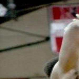 Goff One Of Rare Bright Spots For Siu Men S Team Southern