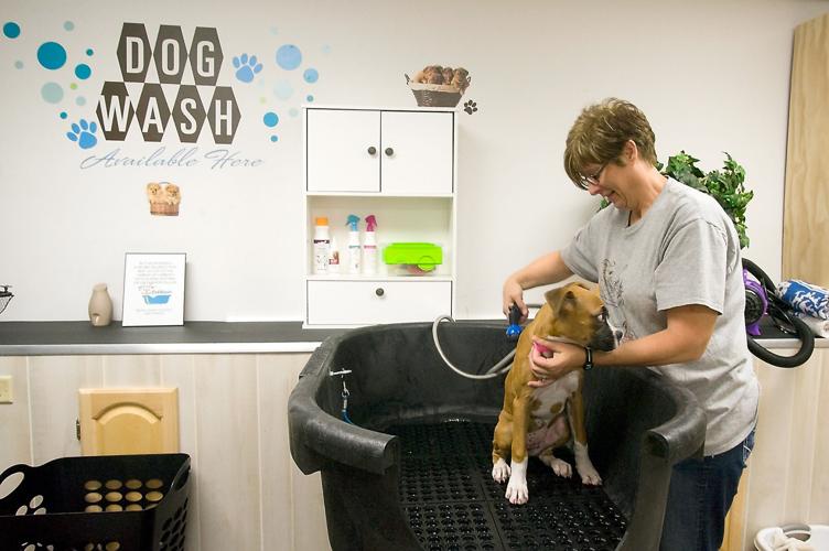 Gone to the dogs Sudzy Bath and Biscuits in Anna caters to canines