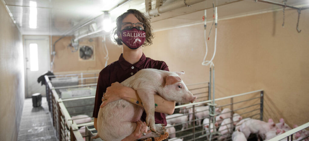 Swine Center