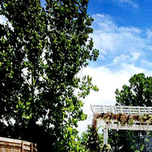 Garden Grove Offers Workouts And Weddings Local Business Thesouthern Com