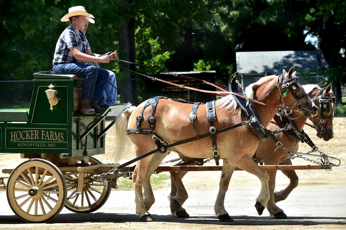 Du Quoin State Fair
