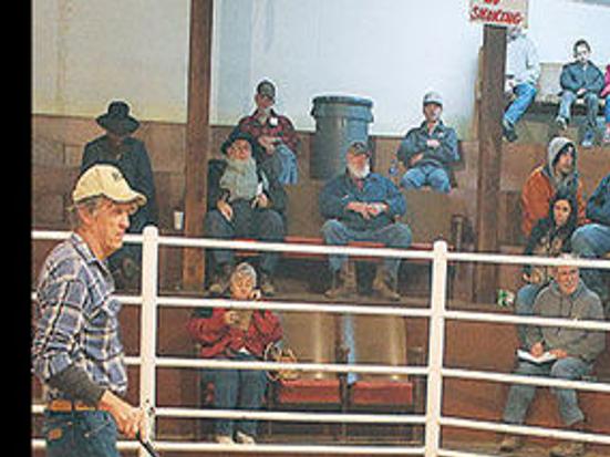 Buyers Sellers Still Flock To Sale Barns To Trade Livestock Environment Thesouthern Com 644 likes · 14 talking about this. sale barns to trade livestock
