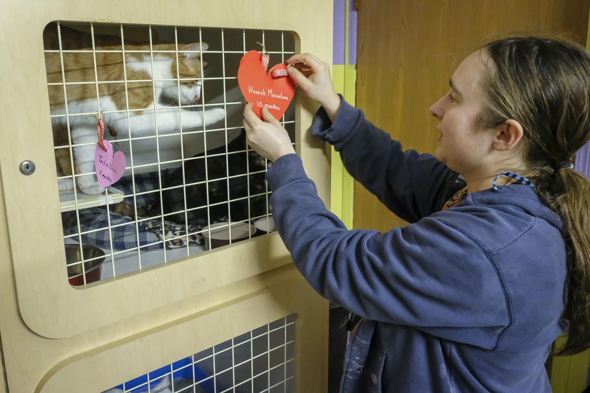 Discover the Top 10 MustHave Products for Pet Lovers in Carbondale