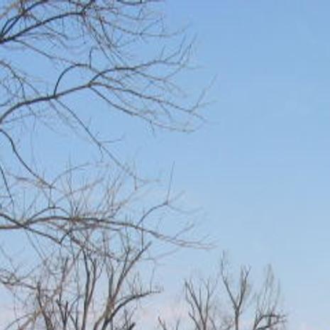 Get Wallpaper Fort Massac State Park Metropolis Il Thesouthern Com Desktop Wallpaper