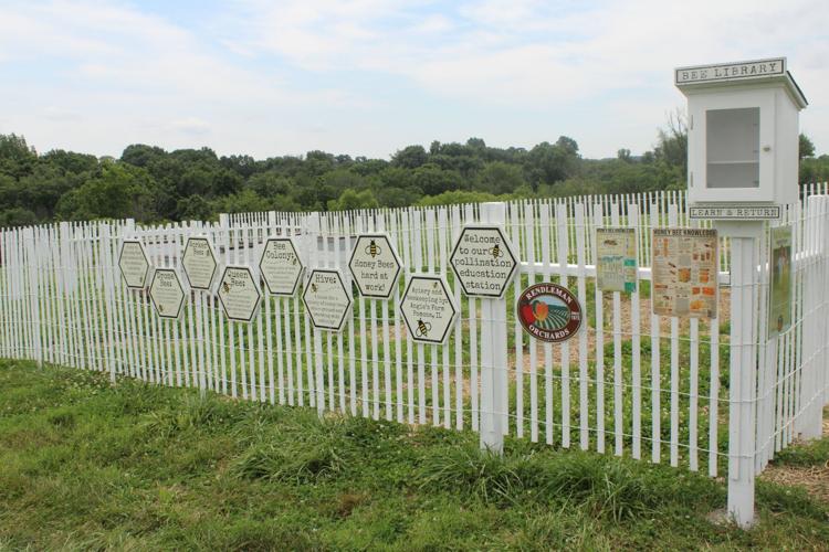 Rendleman Orchards features bee hives and local honey | Latest ...