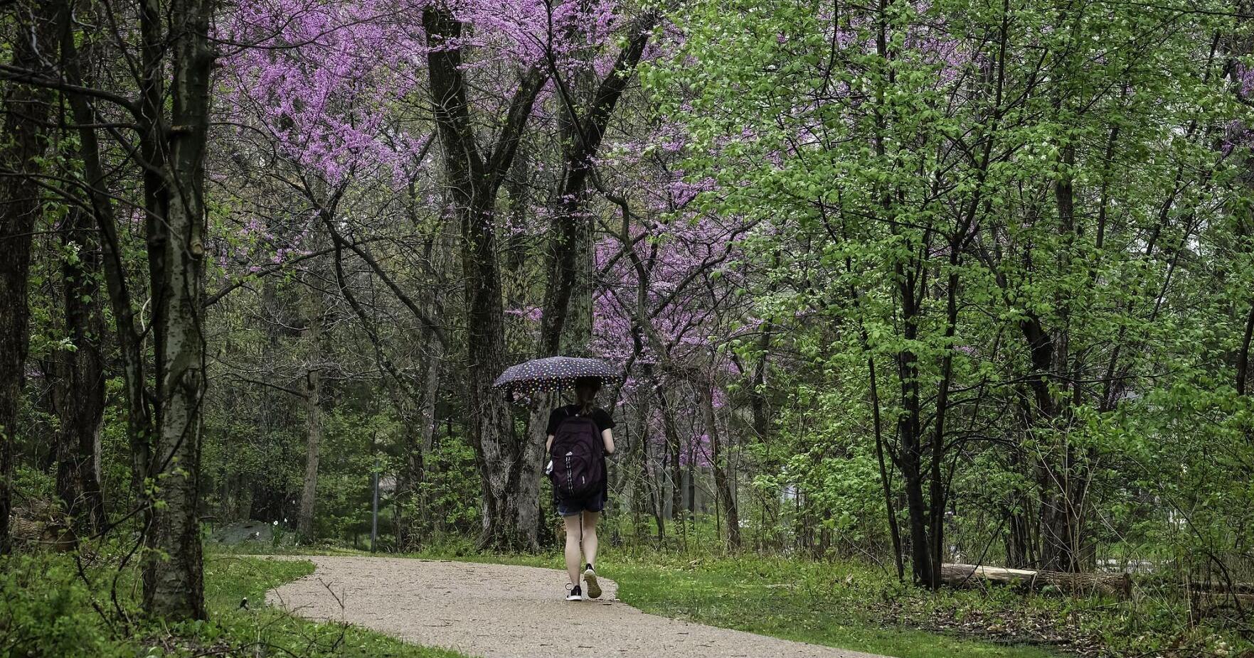 Outdoors features & columns - Vimarsana News