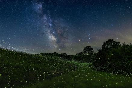 Stargazing event to be held at Giant City State Park - Vimarsana News