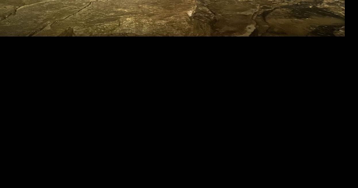 Outdoors Illinois Caverns State Natural Area reopens after 10 years