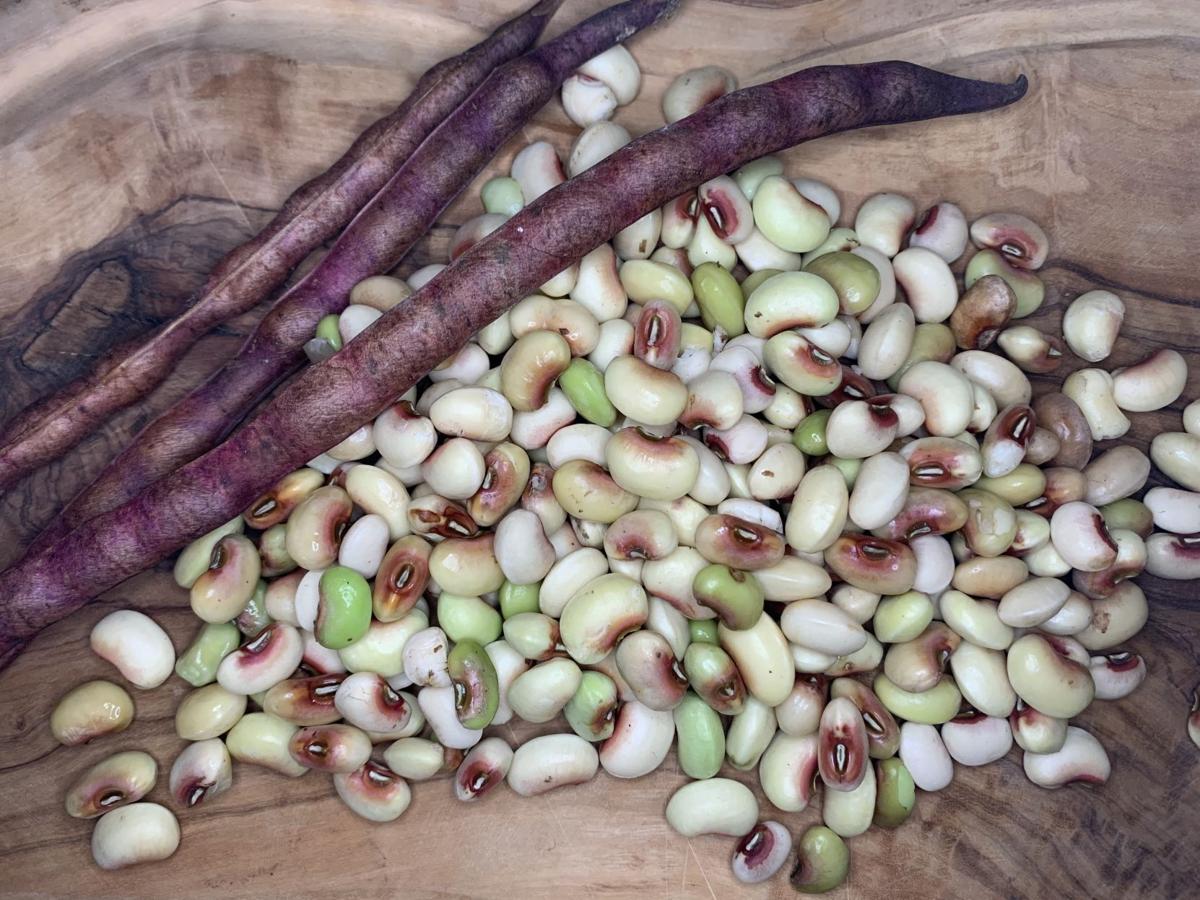 Purple hull peas are a lesser known legume at Southern Illinois farmers ...