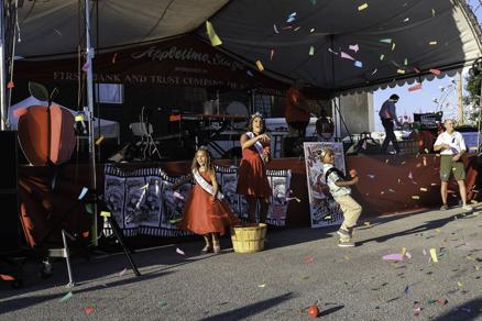 Murphysboro Apple Festival kicks off this week - Vimarsana News