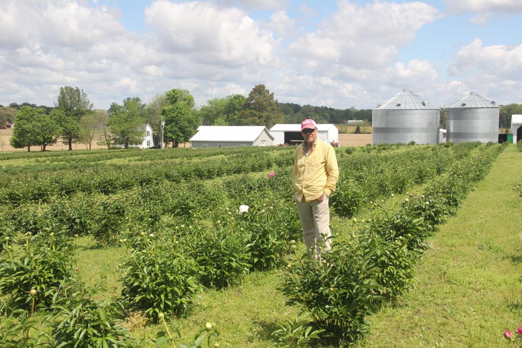 In Our Backyard Peony Hill Farm A Growing Business In Southern Illinois Life Style Magazine Thesouthern Com In Our Backyard Peony Hill Farm A Growing Business In Southern Illinois Life Style Magazine Thesouthern Com