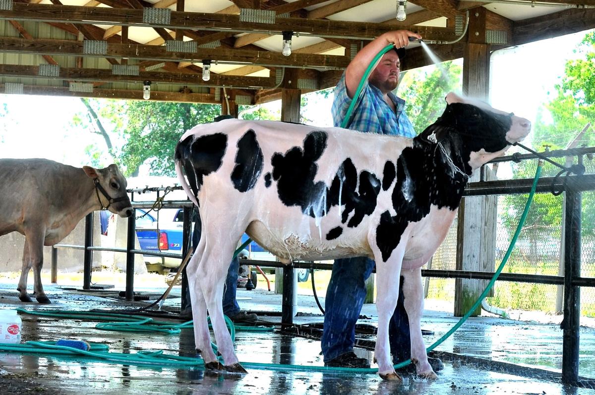 Du Quoin State Fair