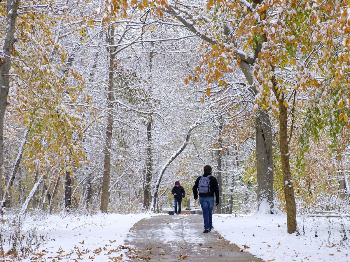 Early Snow Day Comes For Southern Illinois After Storm Blankets