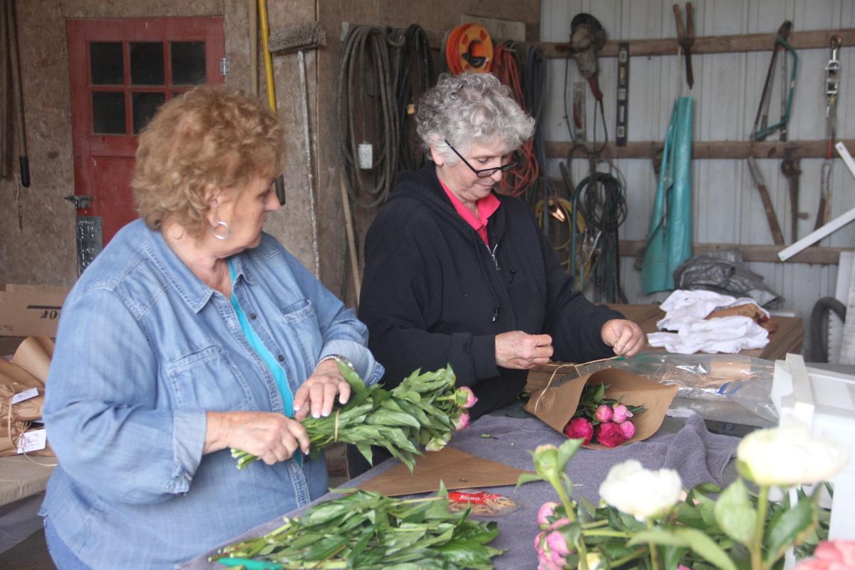 In Our Backyard Peony Hill Farm A Growing Business In Southern Illinois Life Style Magazine Thesouthern Com