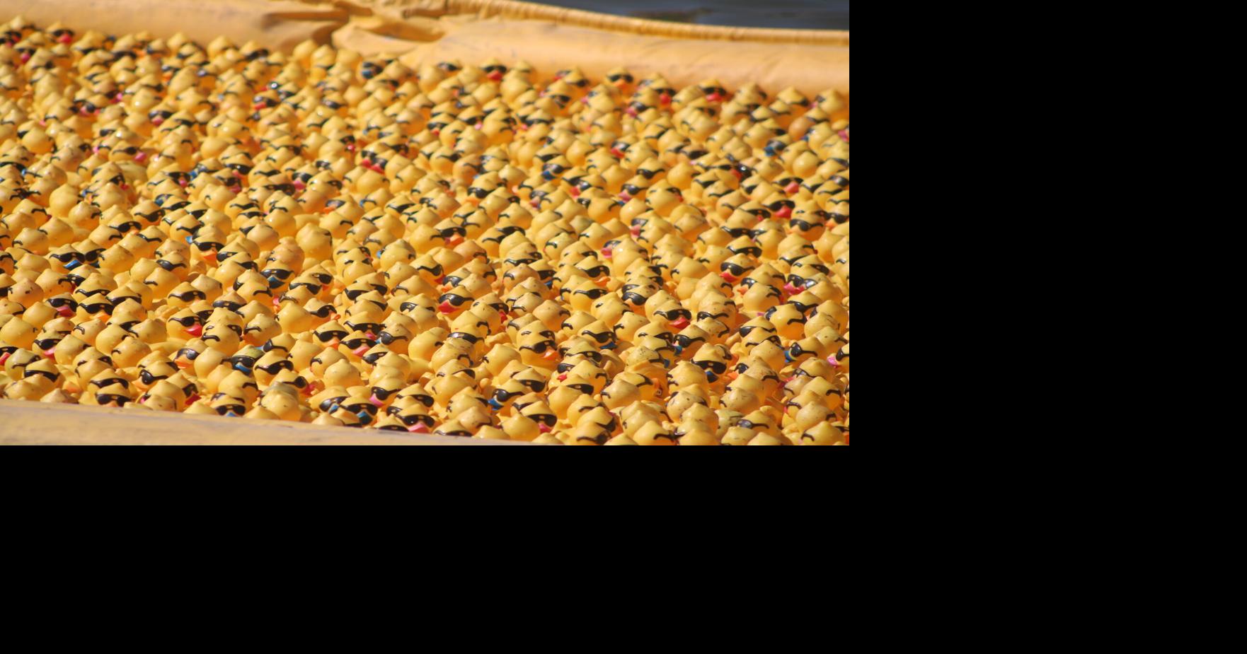 Duckies dash in Du Quoin for a good cause