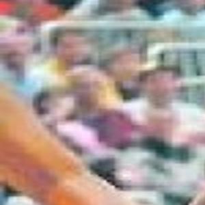 Dawg Day Carbondale Routs Crane To Advance To State Semifinals Sports Thesouthern Com