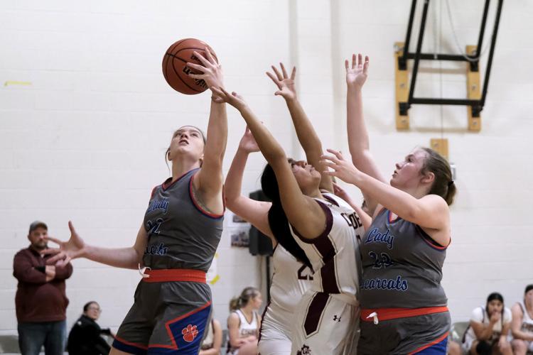 Girls Basketball Hargrove leads Christopher past Cobden High School
