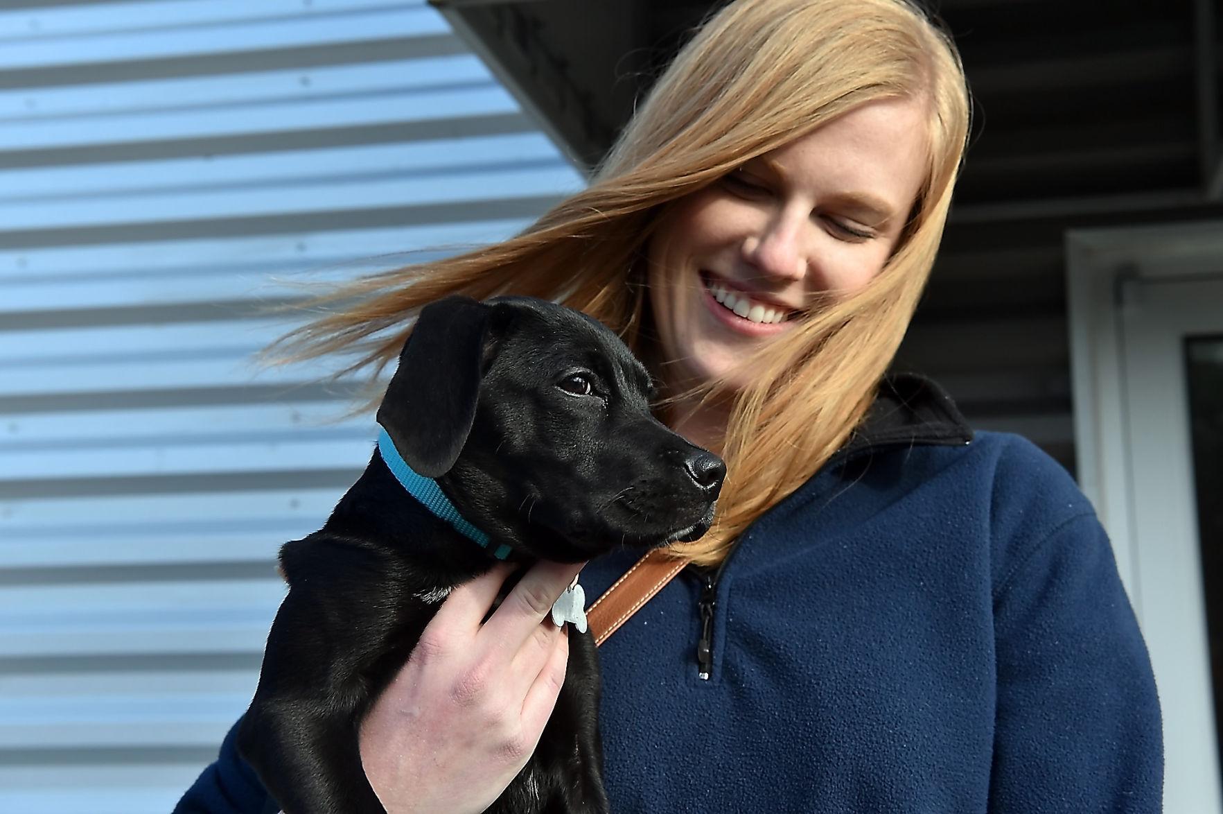 Murphysboro no-kill animal shelter providing care to dogs and cats