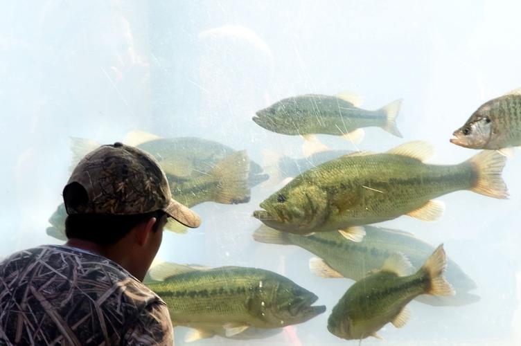 National Hunting and Fishing Days returns to John A. Logan Outdoors