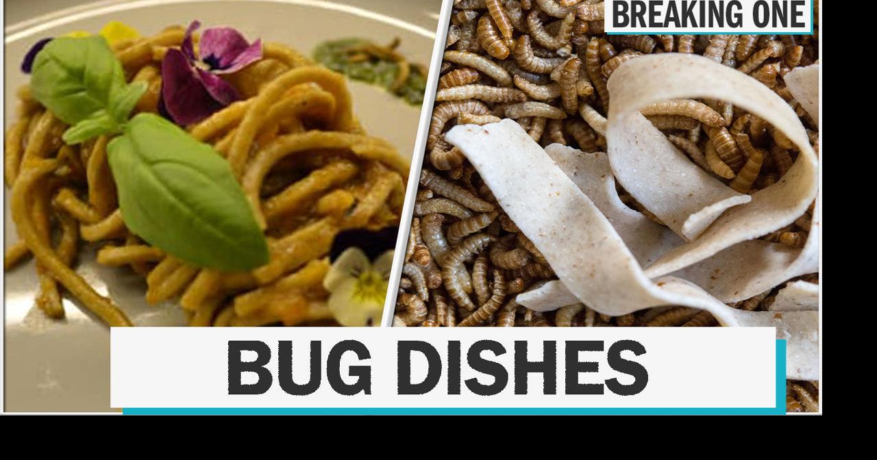 Here's what you can eat at this insect-only restaurant | Entertainment ...
