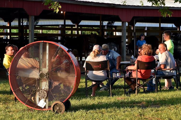 Photos Saline County Fair