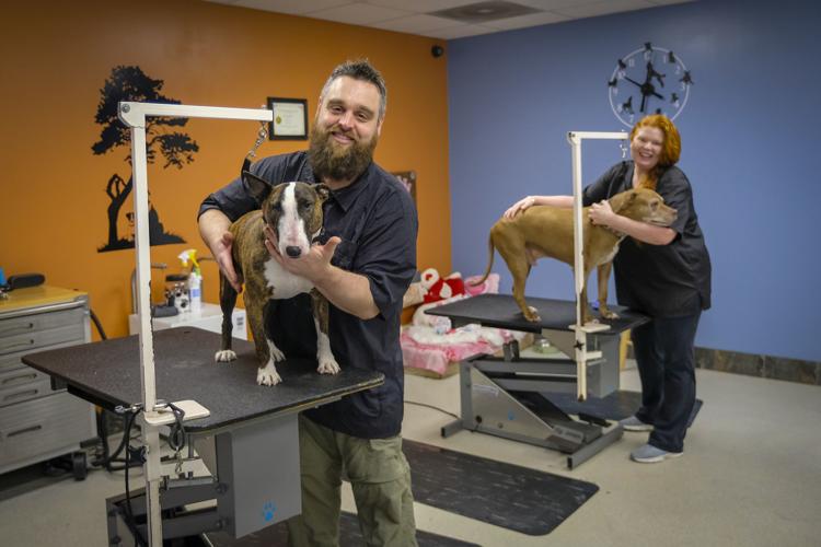 Sudzy Paws offers the 'full works' for pet grooming