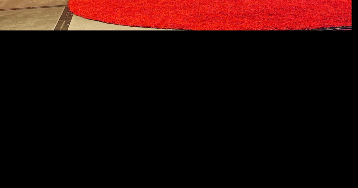 Herrin's Nic Skovgaard comes full circle with TED talk | Local News ...