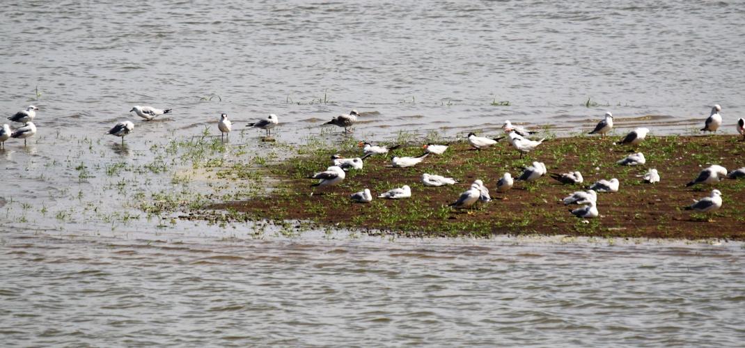 Outdoors Crab Orchard Lake photos Outdoors