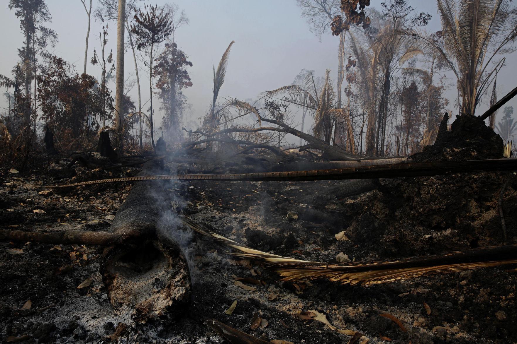 Photos See the devastation of Amazon rainforest fires still burning