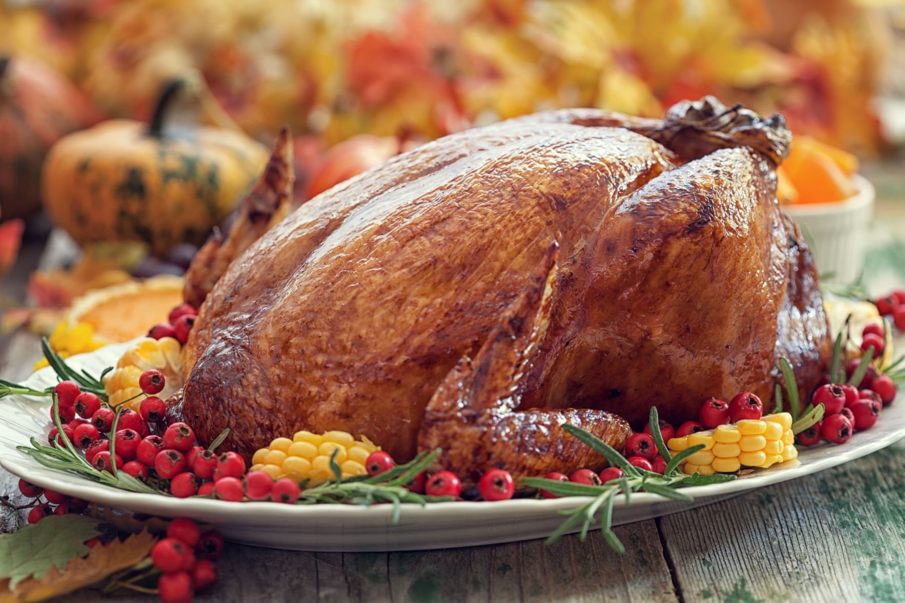 Talking Turkey: Tips For Cooking Your Thanksgiving Bird | Food ...