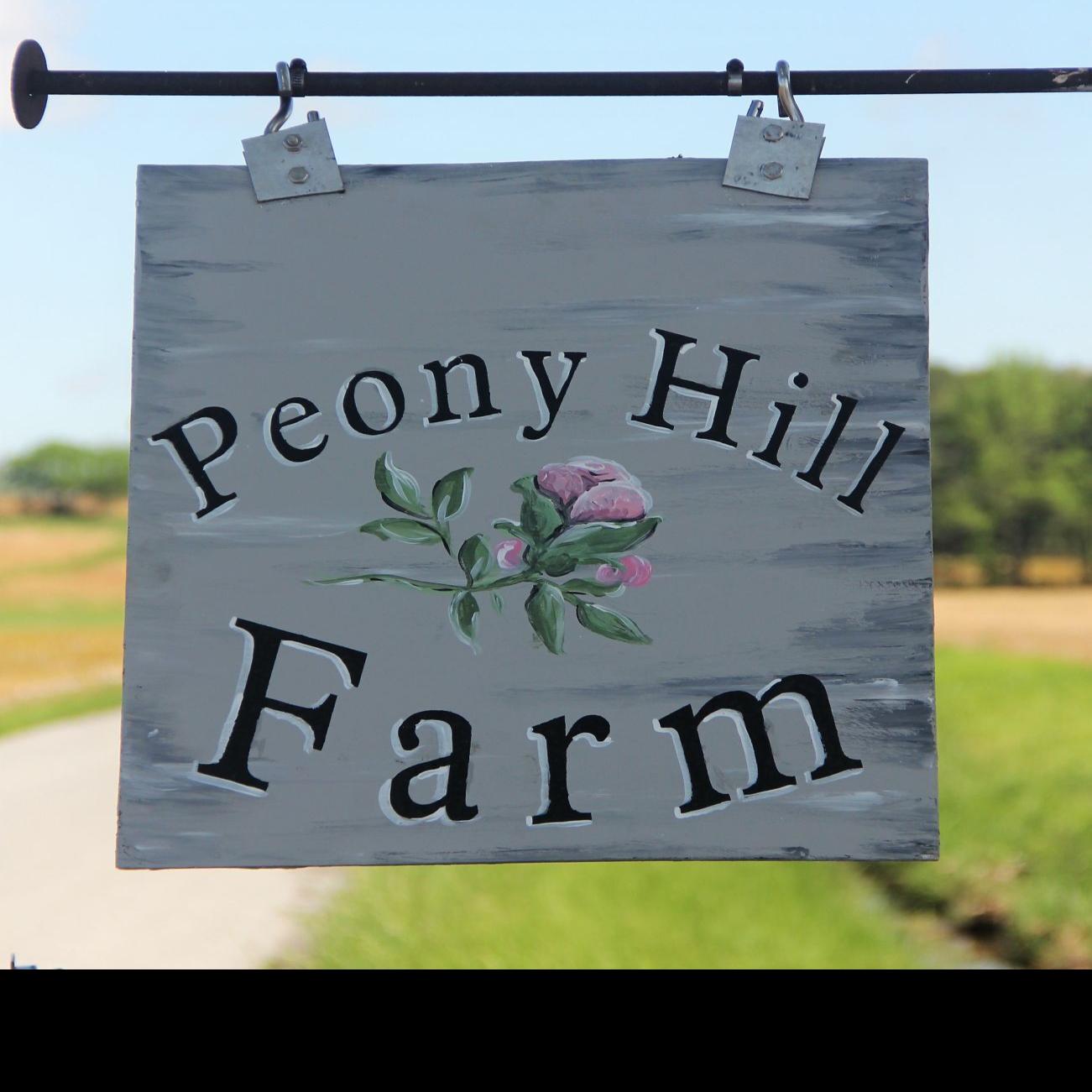 In Our Backyard Peony Hill Farm A Growing Business In Southern Illinois Life Style Magazine Thesouthern Com