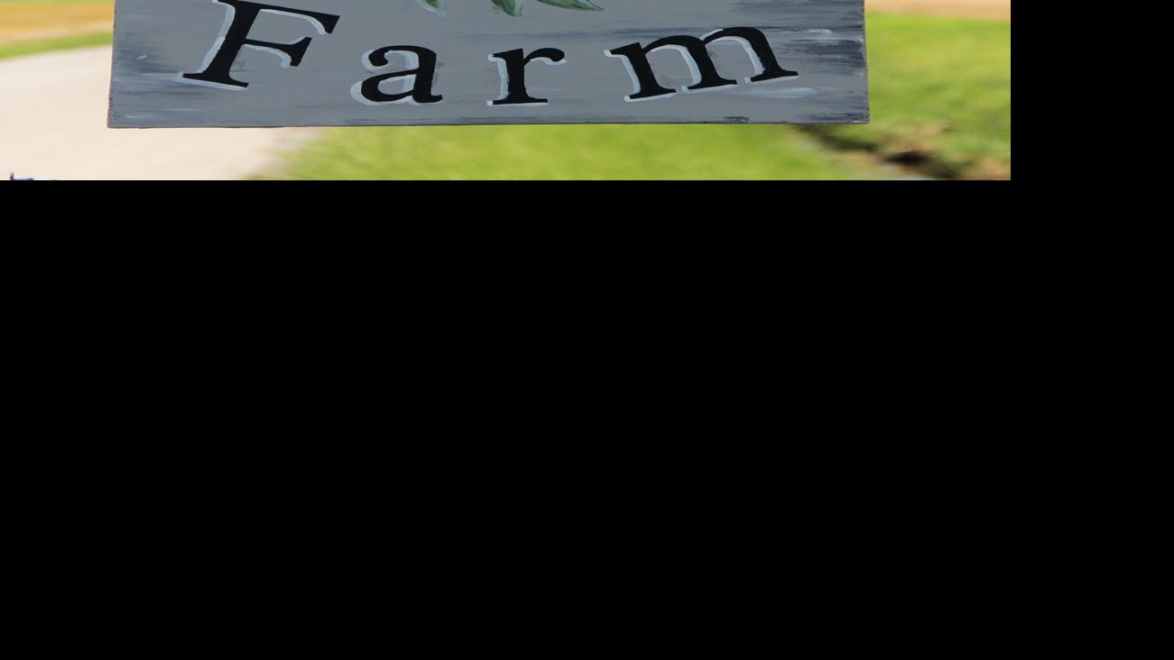 In Our Backyard Peony Hill Farm A Growing Business In Southern Illinois Life Style Magazine Thesouthern Com