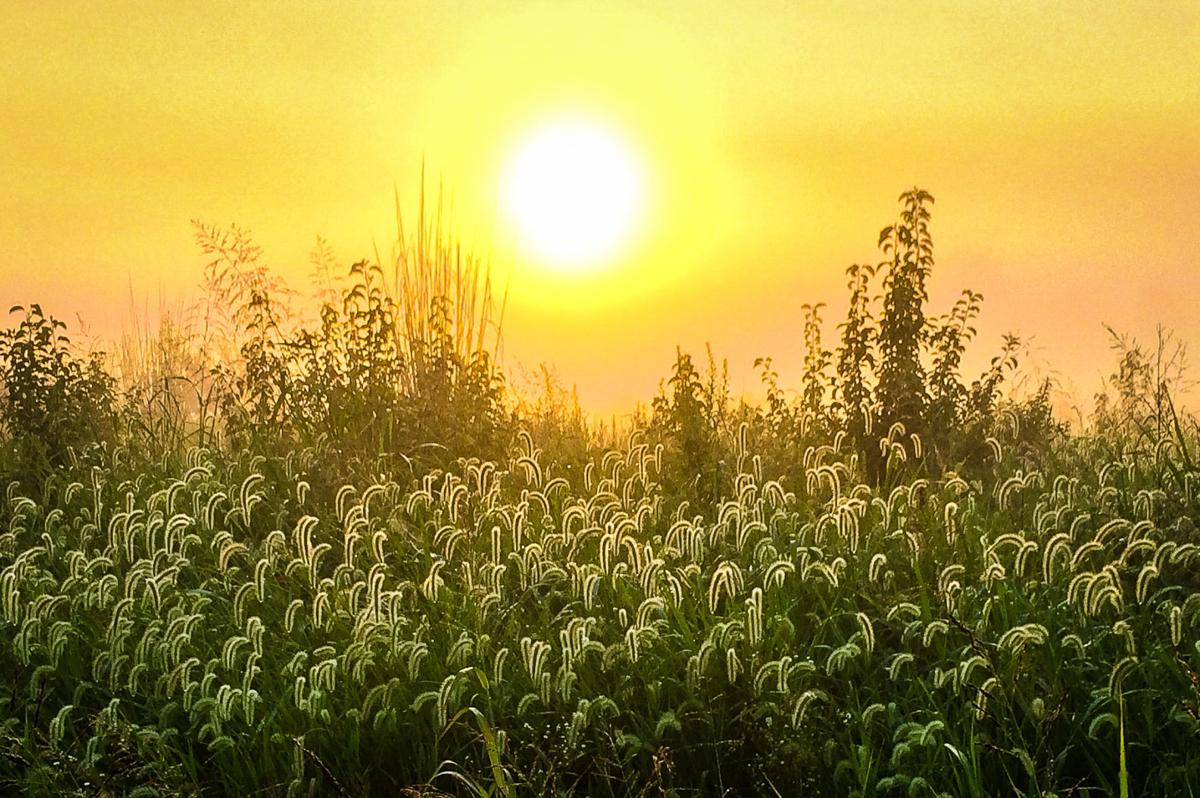 Soft sunrise