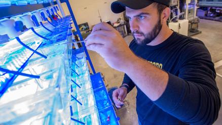 Research funds spike to $95.7M in 2022-23 for SIU - Vimarsana News