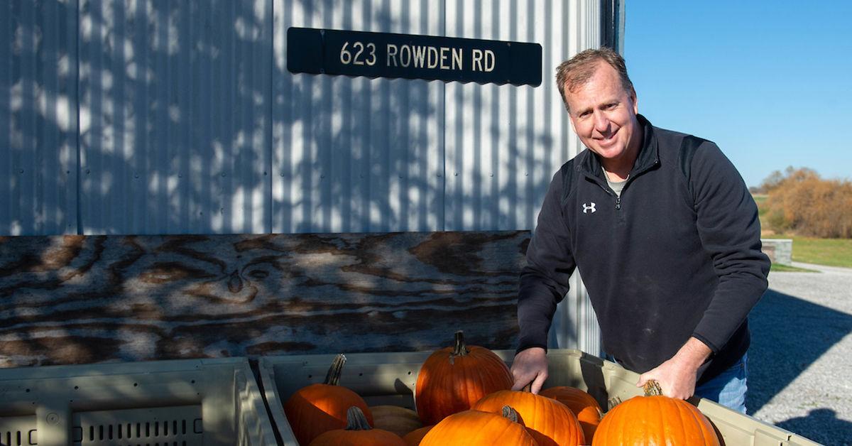 Pumpkins