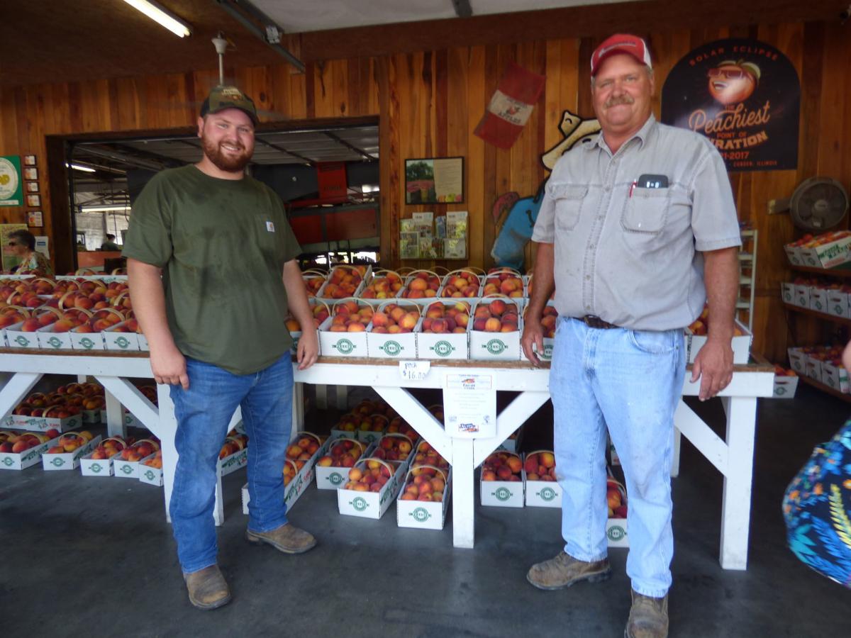 79th annual Peach Festival Cobden is peachy keen for festival fun