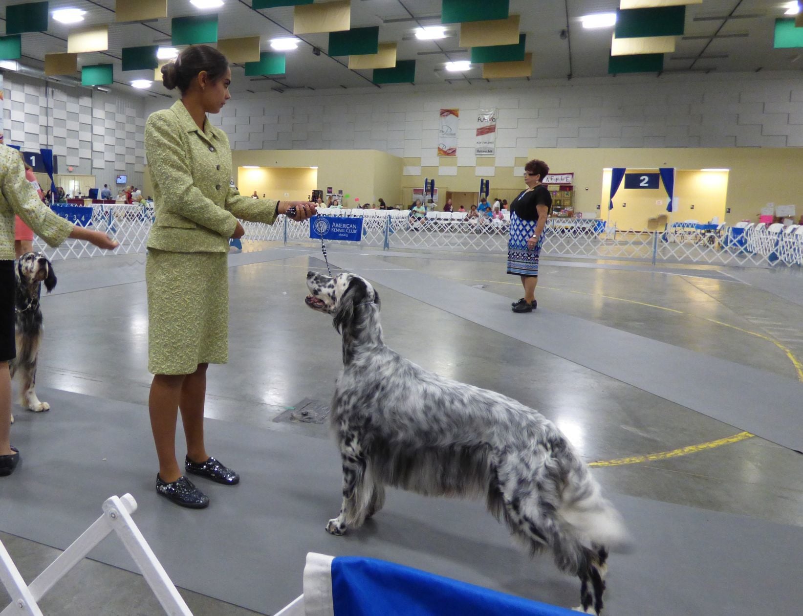 eileen hackett english setters
