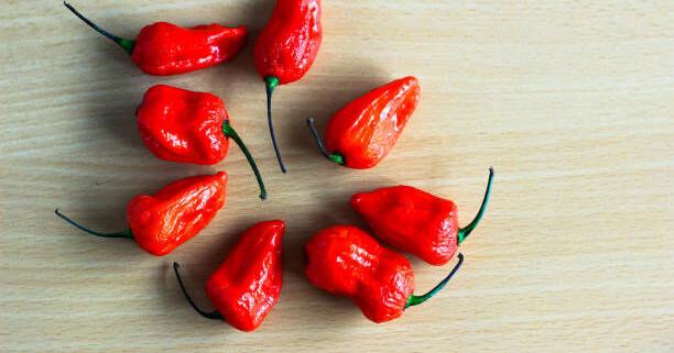 Five types of chili peppers you should know | Food-and-cooking | thesouthern.com->すべての結果