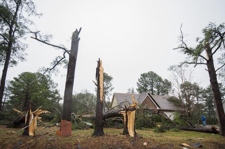 Several power outages, trees down in Southern Illinois following storms ...