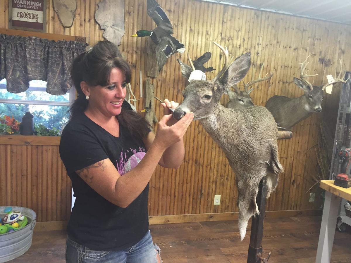 Deer Head Mount