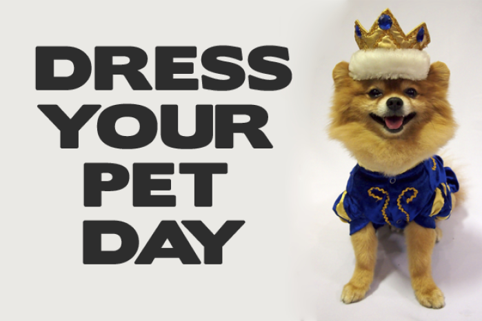 National Dress Up Your Pet Day | | Thesouthern.com