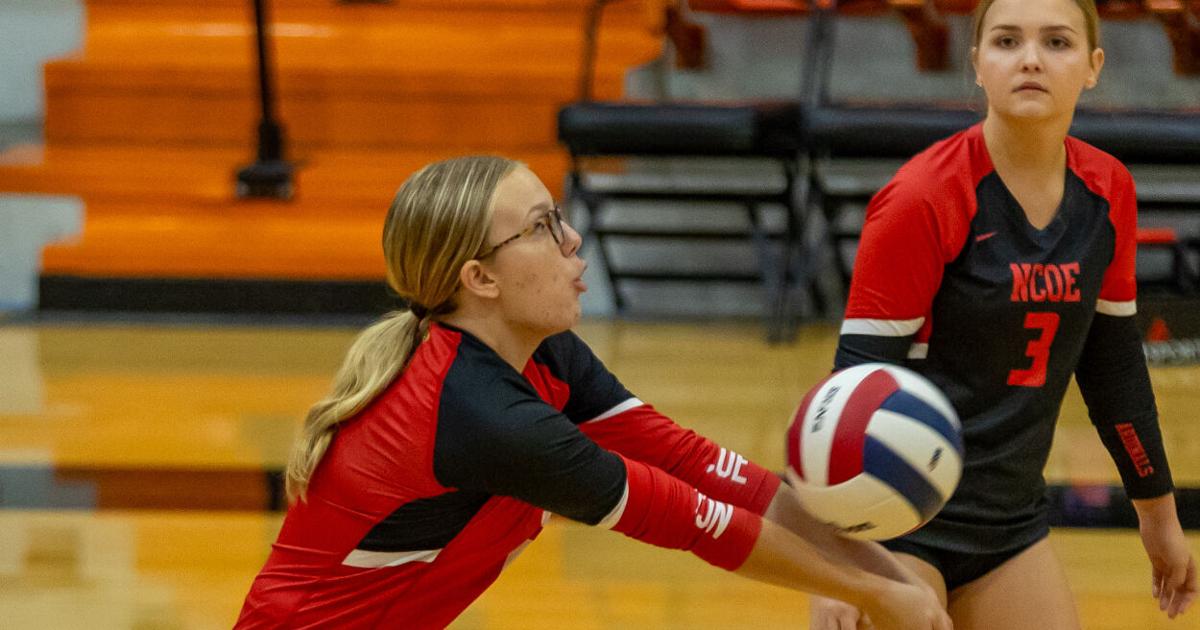 NCOE rallies past Herrin in volleyball